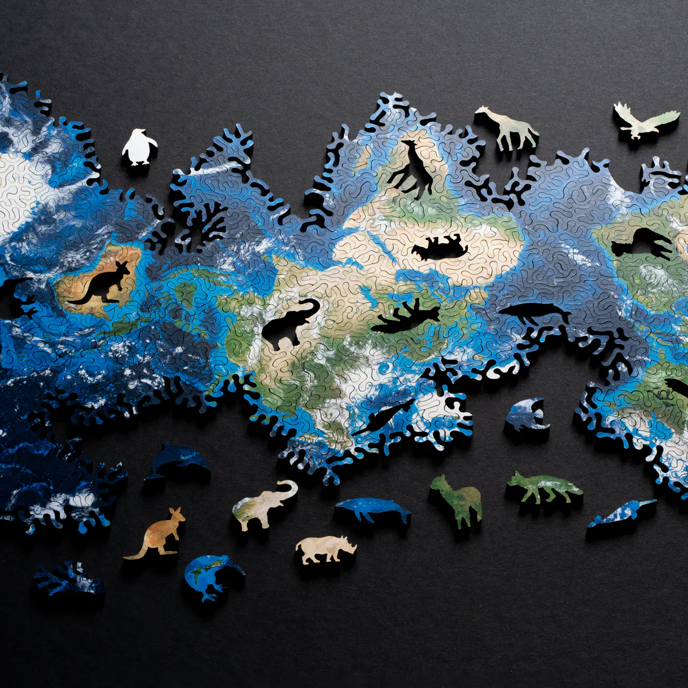 Earth Infinity Puzzle - Image 4