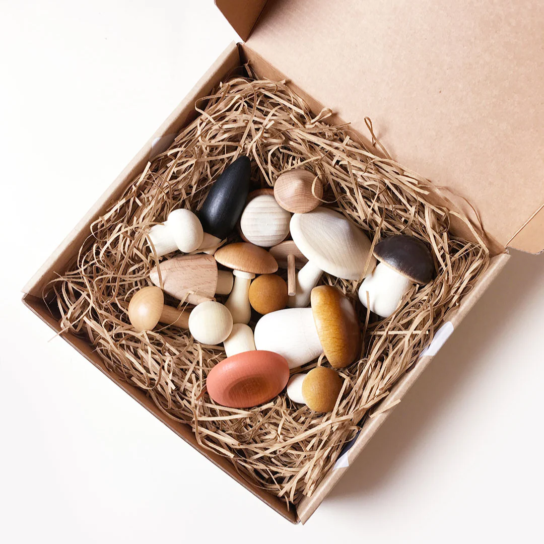 Forest Mushrooms in a Box - Image 3