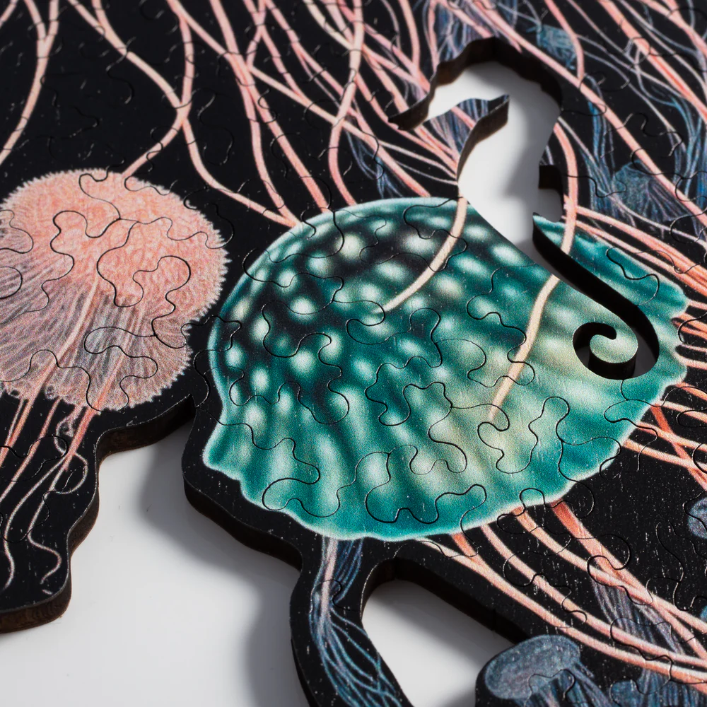 Jellyfish Dreams Puzzle - Image 3
