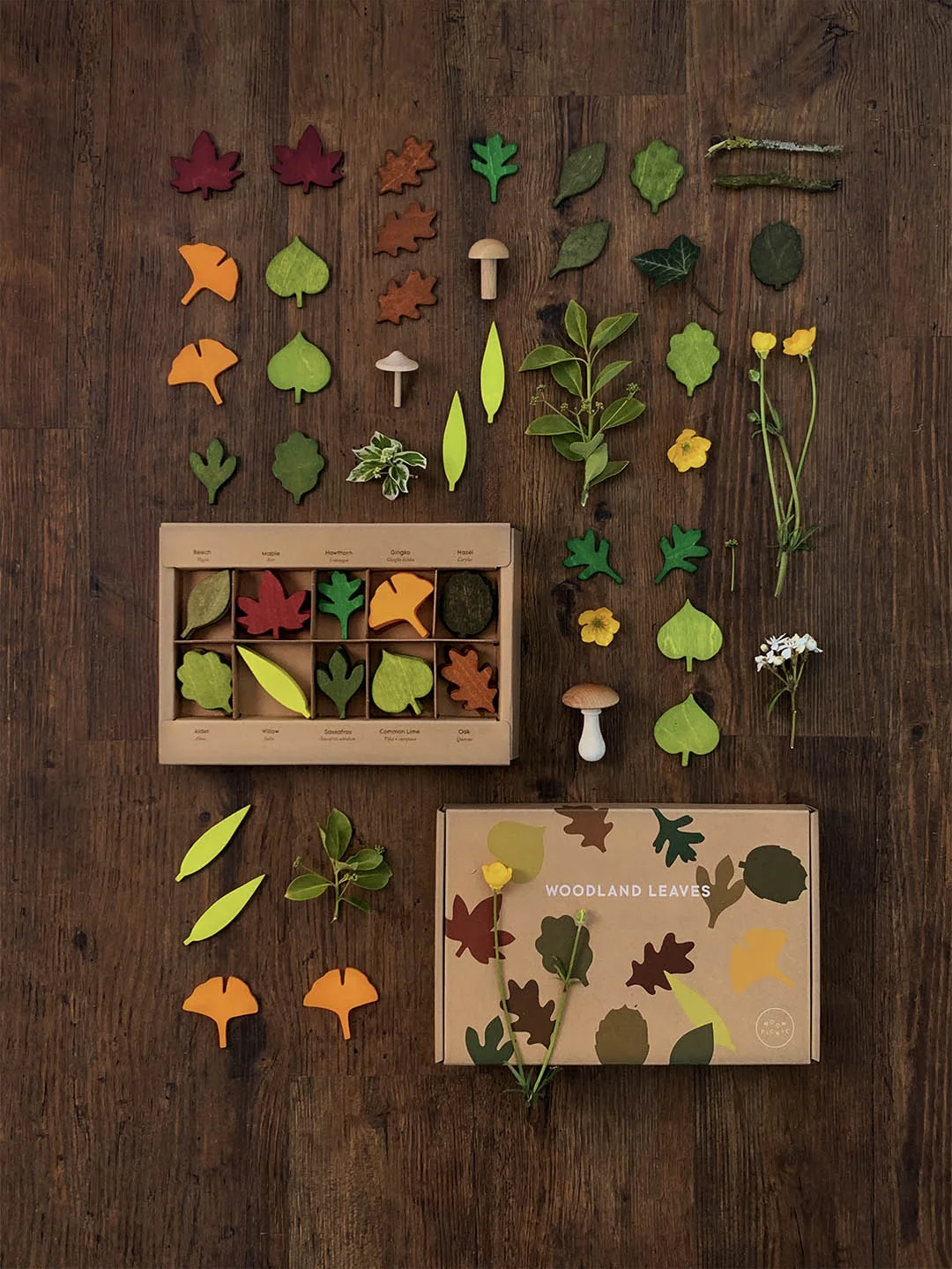 Woodland Leaves - Image 6